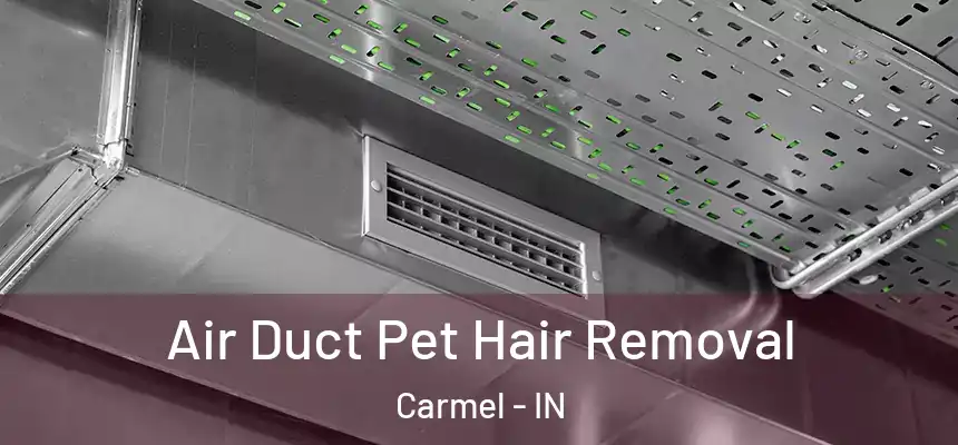  Air Duct Pet Hair Removal Carmel - IN