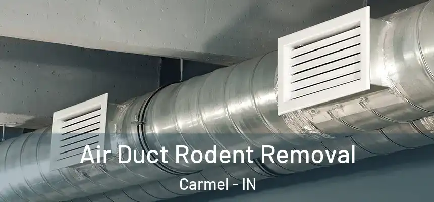  Air Duct Rodent Removal Carmel - IN