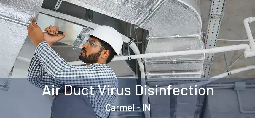 Air Duct Virus Disinfection Carmel - IN