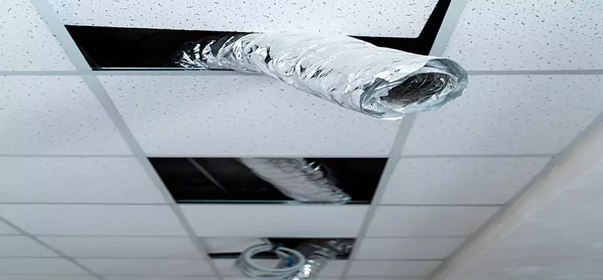 Our Air Duct Pet Hair Removal Services in Carmel, IN