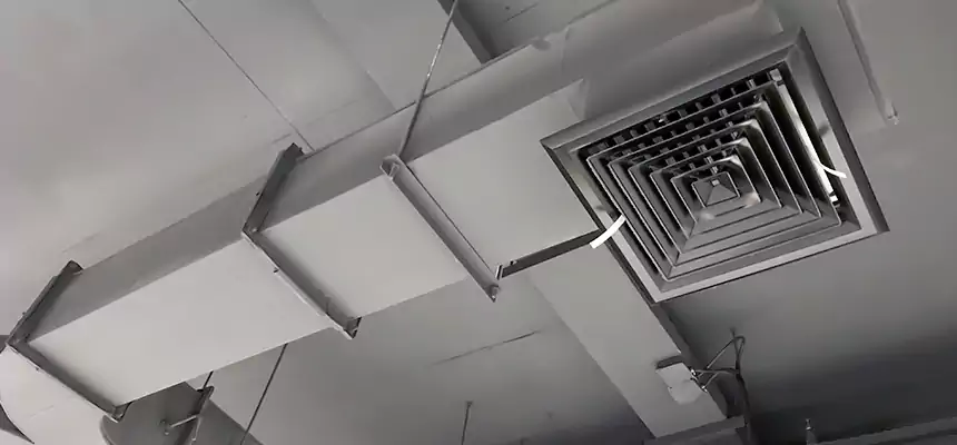 Restorative Allergy Relief Vent Cleaning – Coil, Blower & Housing Detail in Carmel