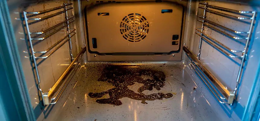 Our Dryer Vent Mold Cleaning Services in Carmel, IN