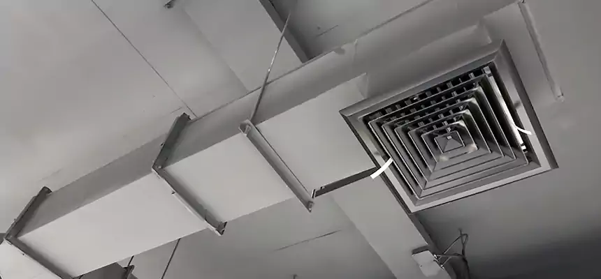 Our Rodent Droppings In Vents Services in Carmel, IN