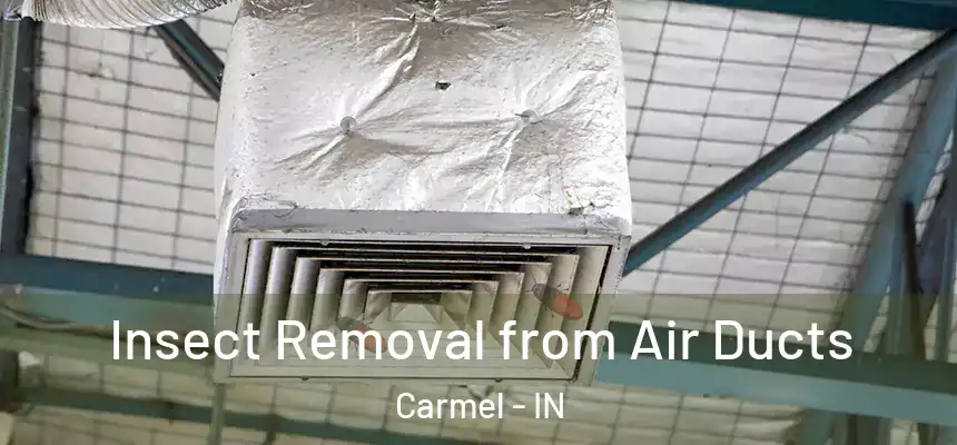 Insect Removal from Air Ducts Carmel - IN