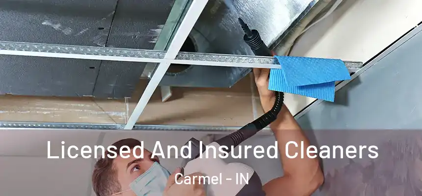 Licensed And Insured Cleaners Carmel - IN