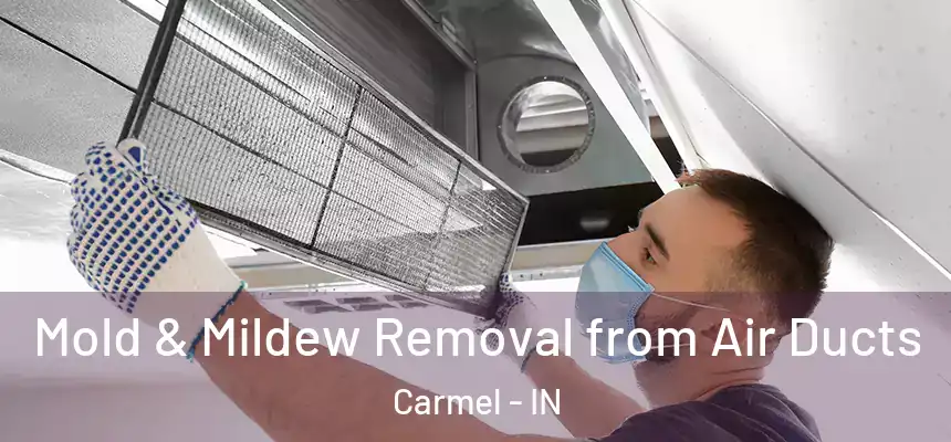  Mold & Mildew Removal from Air Ducts Carmel - IN