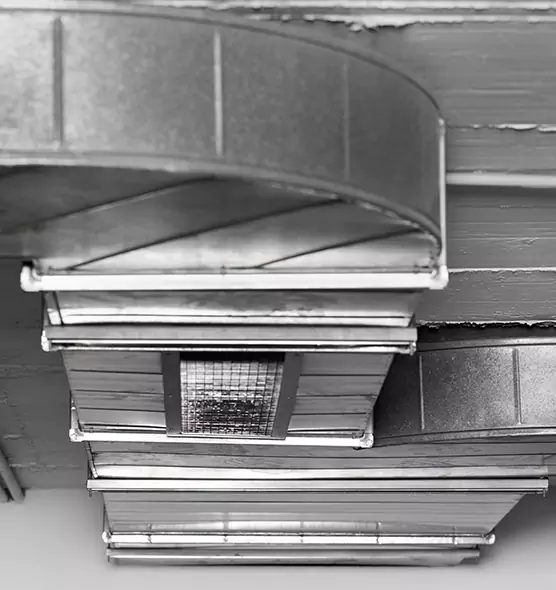 Professional Air Duct Pet Hair Removal in Carmel, IN