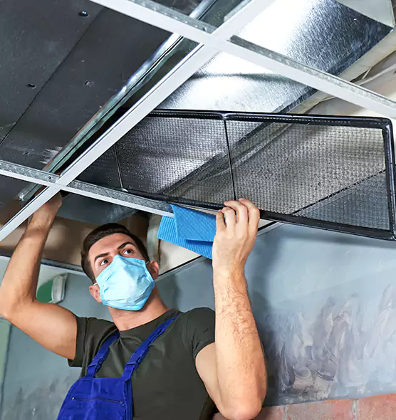 Professional Air Duct Pollen Cleaning in Carmel, IN