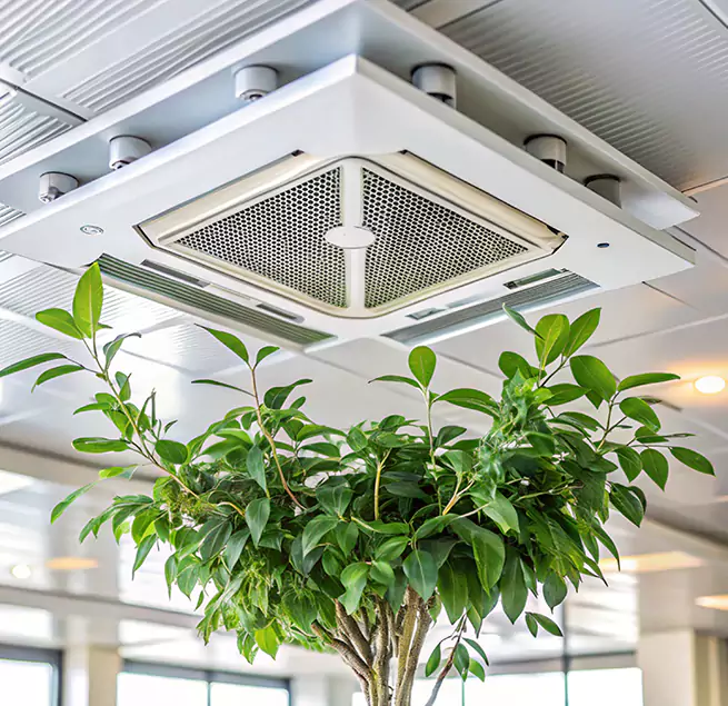 Why Homeowners & Businesses Trust Us in Carmel, IN?