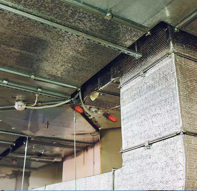 Why Homeowners & Businesses Trust Us Carmel, IN?